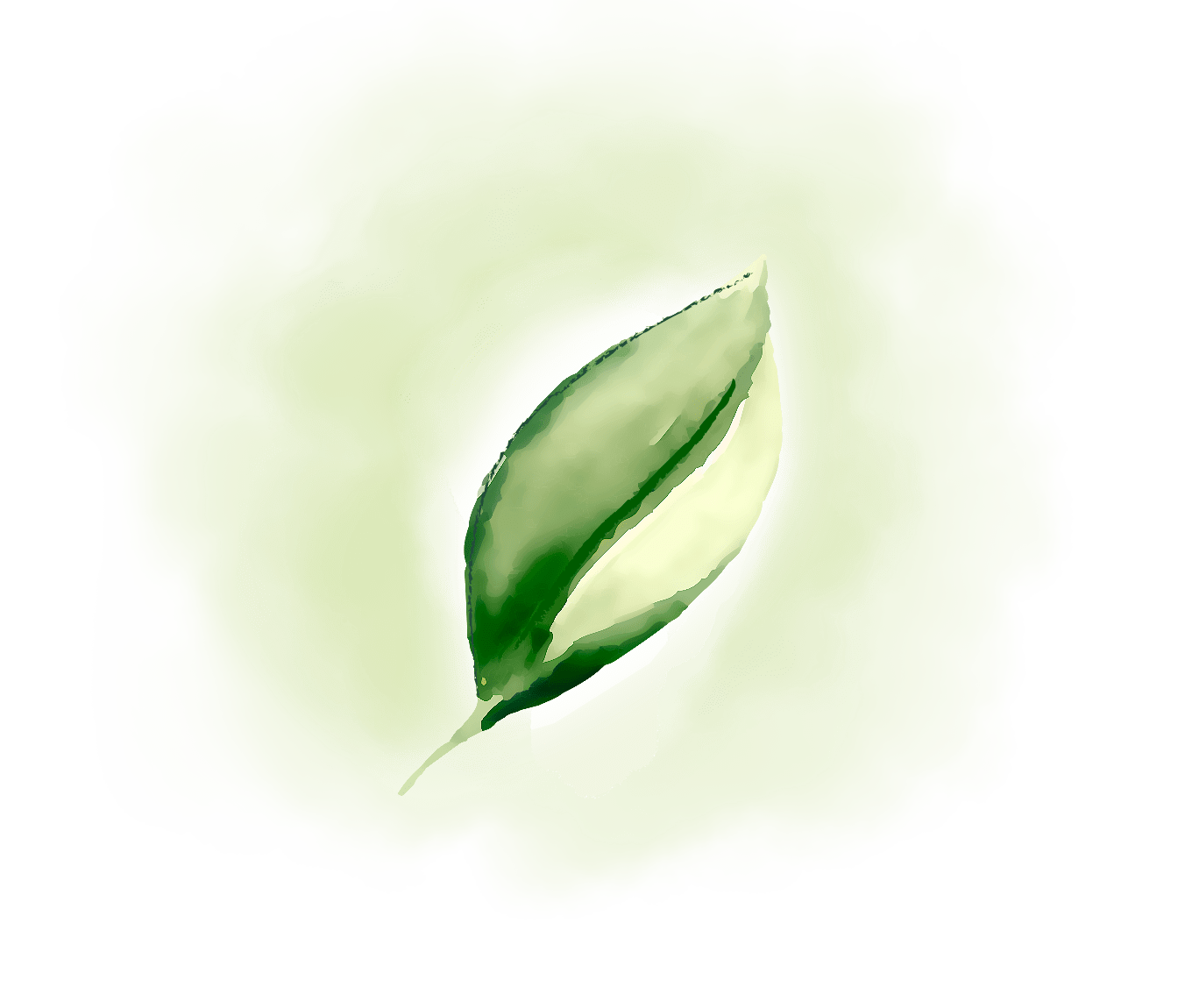 offerta-energia-verde-home